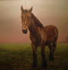 Paard Jan