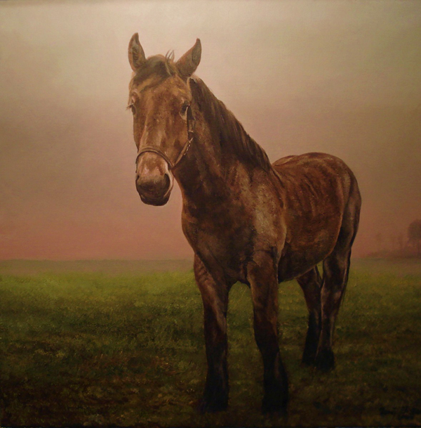 Paard Jan